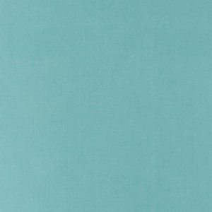 Kravet Basics - 35372-313