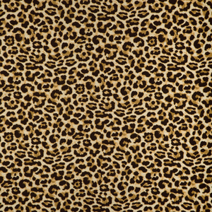 Kravet Design - 37149-64