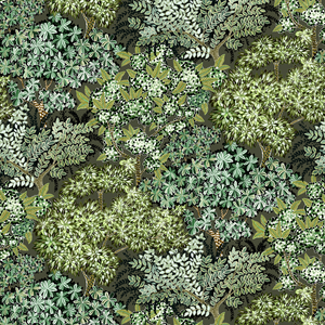 Broccoli Canpoy - 11