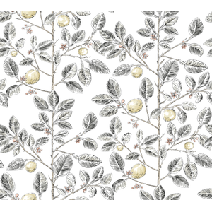 Kravet Design - W4241-21
