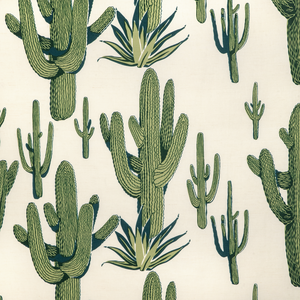 Cacti Land - Agave