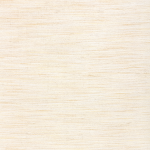 Kravet Basics - 4671-111