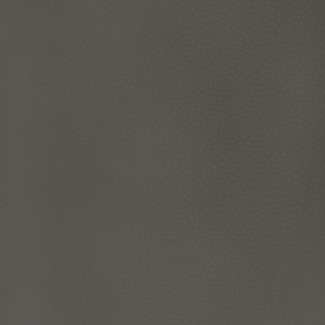 Kravet Design - Mend-21