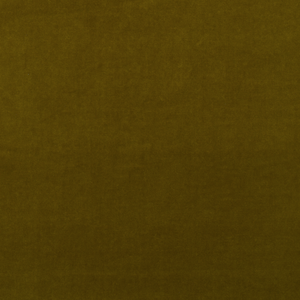 Medici - Olive