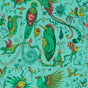 Quetzal - Aqua Wp