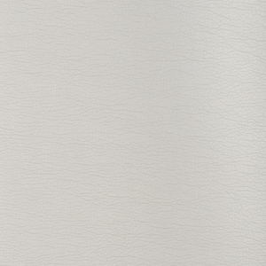 Kravet Design - Galleon-1101