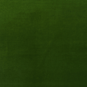 Medici - Ivy