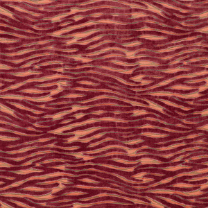 Wildstripe - Coral