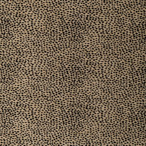 Kravet Design - 37126-816