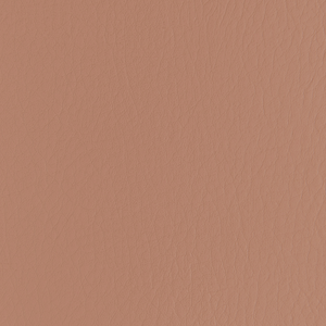 Forza - Praline