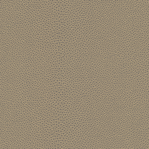 Kravet Design - Mindy-2111