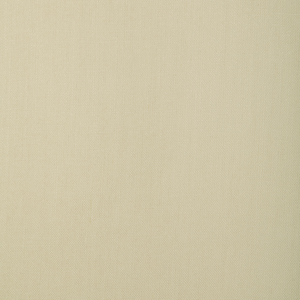 Kravet Basics - 37317-1