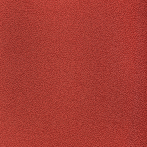 Reset - Raspberry
