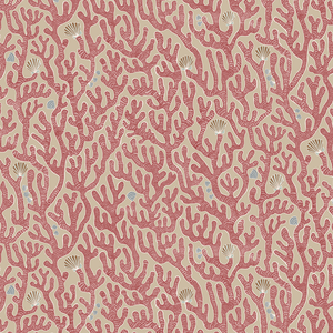Coral - 01