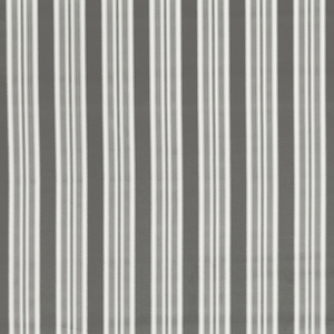 Wilmott - Graphite