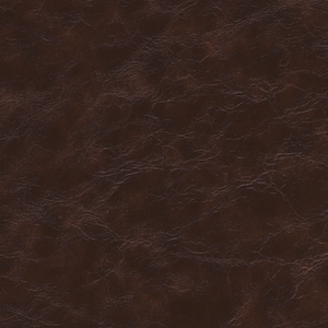 Kravet Design - Equine-66
