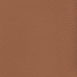 Kravet Design - Mend-6