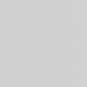 Forza - Fog