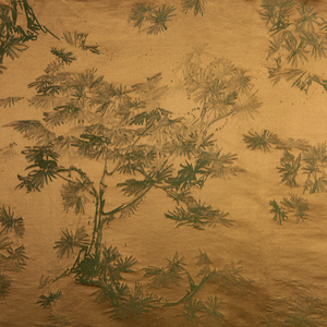 Ginkgo - 01