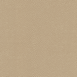 Kravet Design - Mindy-21
