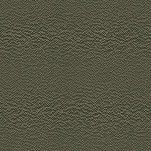 Kravet Design - Hammer-3
