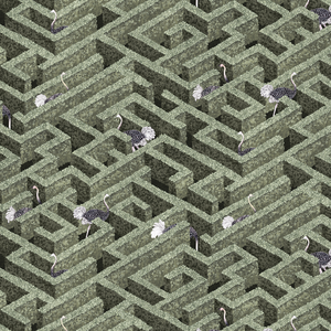 Labyrinth With Ostriches - 01