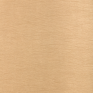 Kravet Design - Galleon-416