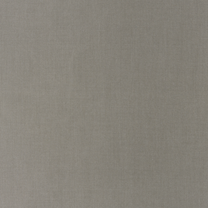 Kravet Basics - 35372-52