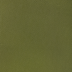 Kravet Design - Gillian-33