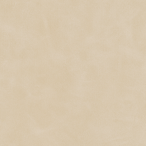 Kravet Design - Mojari-1101