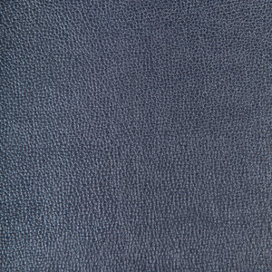 Kravet Design - Sparta-511
