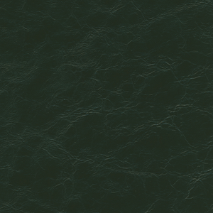 Kravet Design - Equine-3