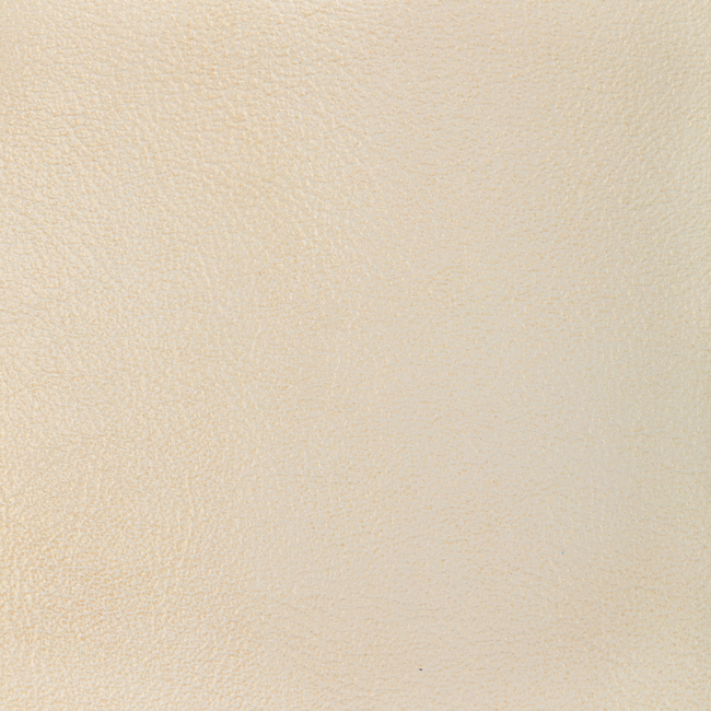 L-Glisten-Seashell - 