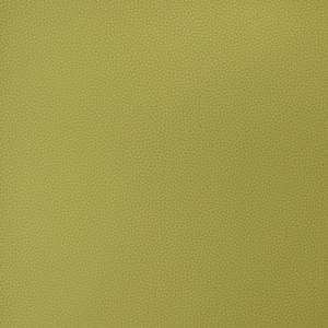 Kravet Design - Bind-23