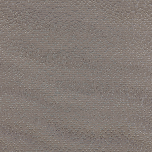 Lidia - 11