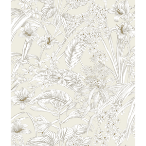 Kravet Design - W4248-1