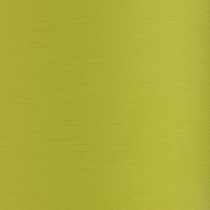 Kravet Design - Gato-23