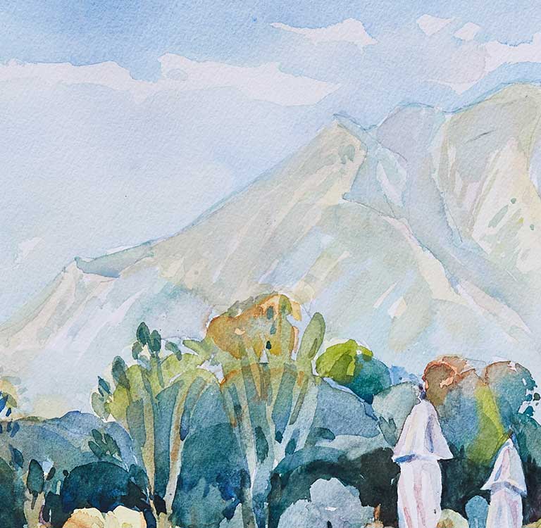 Ojai Collection