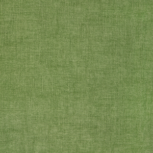Jesse - Grass