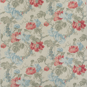 Peony - Sea Coral
