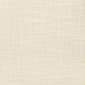 Kravet Basics - 4670-111