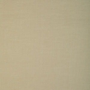 Kravet Basics - 37319-16