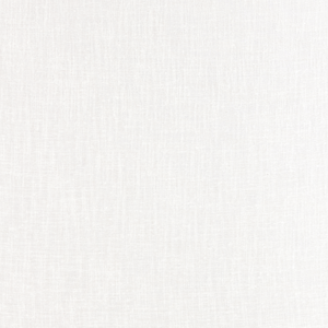 Kravet Basics - 4110-1