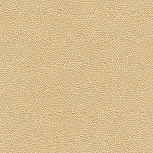 Kravet Design - Mindy-1611