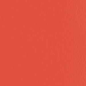 Forza - Persimmon