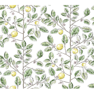 Kravet Design - W4241-340