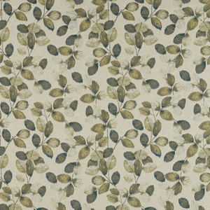 Northia - Olive Peacock