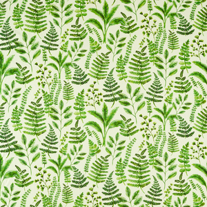 Bracken - Forest