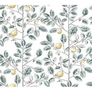 Kravet Design - W4241-354