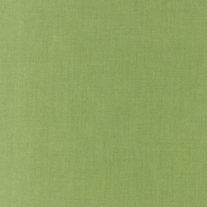 Kravet Basics - 35372-303